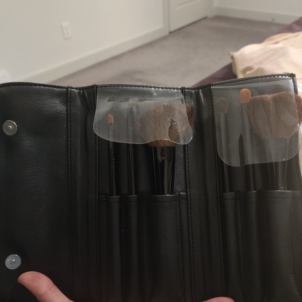 Makeup brushes with case